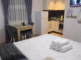 Krid Tirana Studio Flat