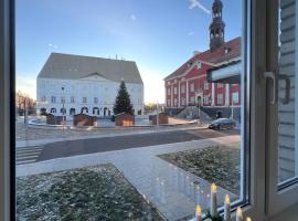 Town Hall Square View Apartment, hotel in Narva