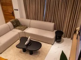 Luxurious & secure 4 bedroom house in Ogudu GRA