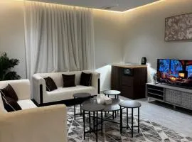 شقه مودرن دخول ذكي