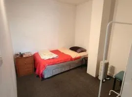 Traveler Cosy Room - No Windows