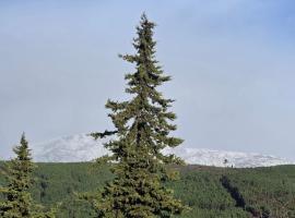 Quinta da Feteira - Conforto, Aventura, Saúde, hotel di Maiorais