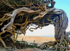 Apartamento Praia do Prea