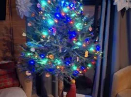 Górskie kaszuby ,Święta w sielskim klimacie ,domek na Kaszubach-do 10 osob,sauna ,balia,kominek