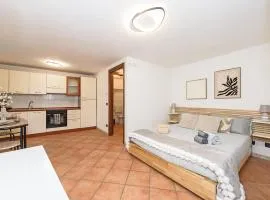 Signature Suite - "Hiver" Aosta City Center