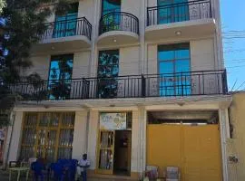 Temesegen Hotel
