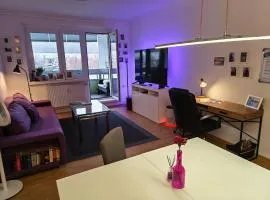 Fewo Schlossblick in Wernigerode, im Herzen des Harzes