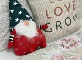 Entire Shiny Flat in Central London