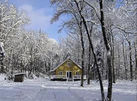 Chalet de la Roche Plate, hotel in Saint-Raymond