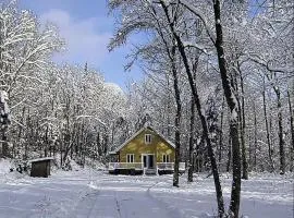 Chalet de la Roche Plate