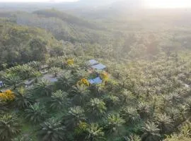 Por Sampao Camp&Resort