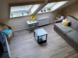 Cocoon Ny II - DURBUY