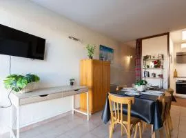 Appartement à Saint Lary, proche pistes, animaux admis - FR-1-296-519