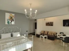 Studio Sky Otopeni and Parking