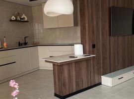 Апартаменти просторі 2 кімнати на Монастирський, hotel in Chortkiv