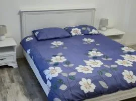 Central apartment Târgu Mureș