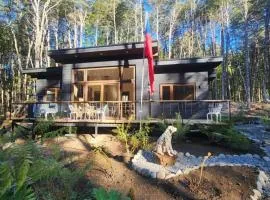 Casa en el Bosque, completa desconexión, Pucón