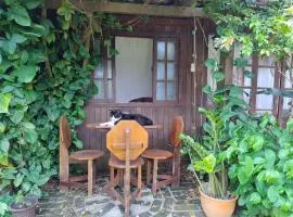 Casa para festas de final de ano - base para seus passeios e praia no litoral de SC