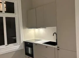 Newly Renovated Classic studio by Solli Plass