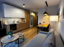 Apartament City Lights Szczecin