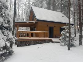 W Sam Las, Hotel in Orzyny