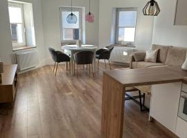 Apartament przyjazny pod Dzikowcem, hotel in Boguszów-Gorce