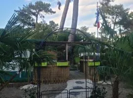 Au petit coin de Tahiti