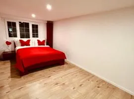 Luxury Apartment for WEF and Ski