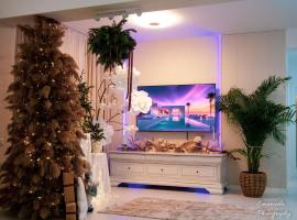 Penthouse View Aeroport Iasi 2