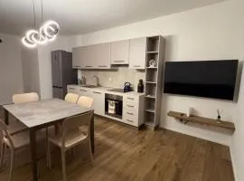 Nuovissimo trilocale nel centro di Saint Vincent