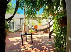 Republika Divanga Homestel