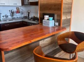 Depto playa herradura，科金博的飯店