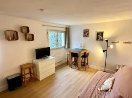 Studio au calme proche du centre de barcelonette