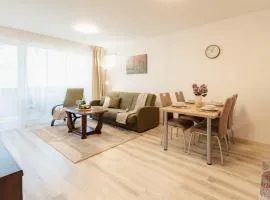 BNB Apartment Pod Vinicou with balcony