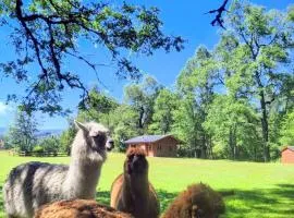 Cabañas Valle del Río