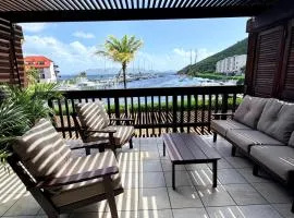 Stunning Seaside Condo on Sapphire Beach with Pool