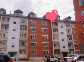 Mongolz Budget Hostel & Tours