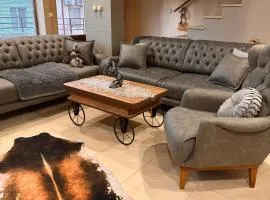 Мезонет “Djanina”