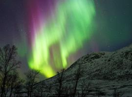 4 person holiday home in TANA, hotel in Tana