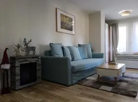 Green Line Studio Appartment Pamporovo