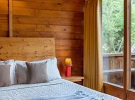 Casa Mandala by Elivaas