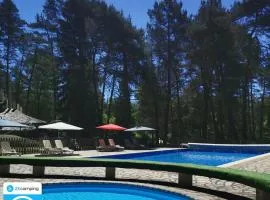Camping 3 étoiles - Piscine - ccbecgd