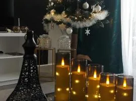 Apartament Ustrzyki Dolne "Dark-Wolf"