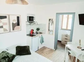 Doux studio au coeur d'Auxerre