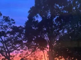 Leafy Suburb Oasis with Comfort and Charm