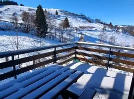 Chalet Les Sapins sauna au pied des pistes