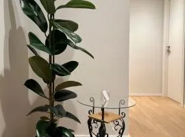 ALBENZA GREEN VILLAGE bed and breakfast