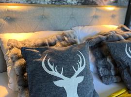 Bavaria Mountain Chalet DESIGN Ferienwohnung SKI Arber Osser Terrasse Sauna in Villa mit Bergblick bis 6 Pers, Hotel in Hohenwarth