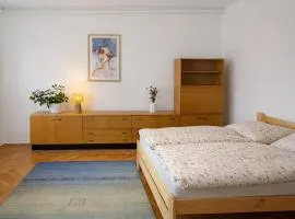 Apartmán František