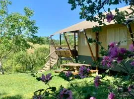 Glamping Lodges on Domaine du Cammazet in the countryside with pool